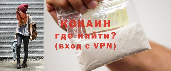 шишки Козельск