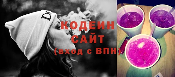 шишки Козельск