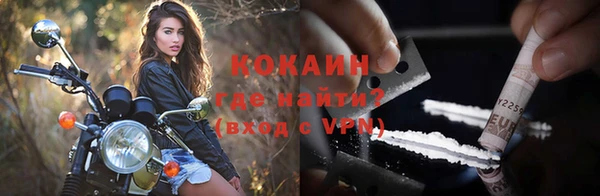 шишки Козельск