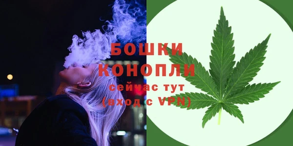 шишки Козельск