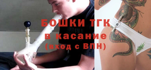 шишки Козельск