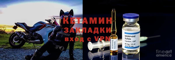 шишки Козельск