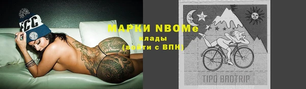 шишки Козельск