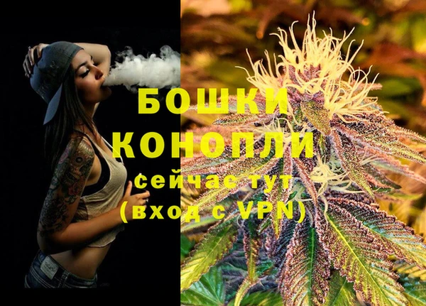 PSILOCYBIN Козловка