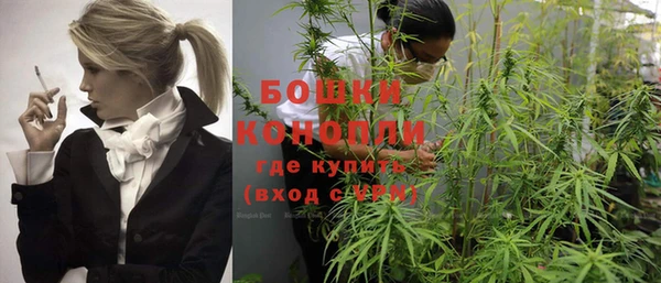 шишки Козельск