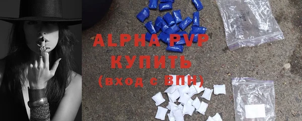 PSILOCYBIN Козловка