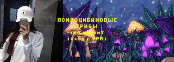 PSILOCYBIN Козловка