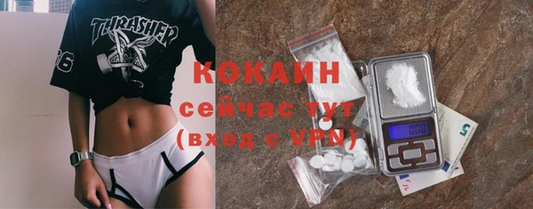 PSILOCYBIN Козловка