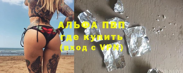 PSILOCYBIN Козловка
