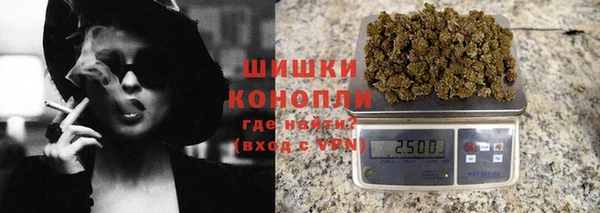 шишки Козельск